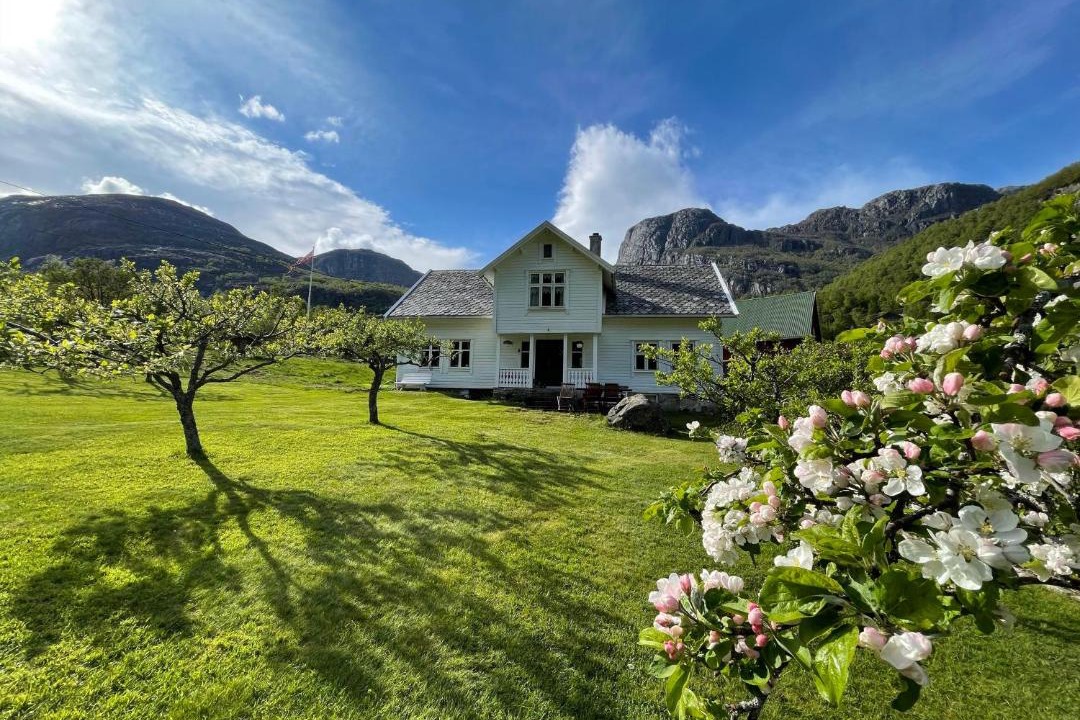 Photo of Others in Lysebotn