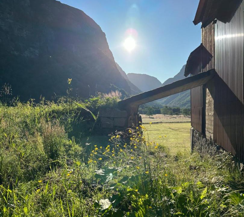 Photo of Others in Lysebotn