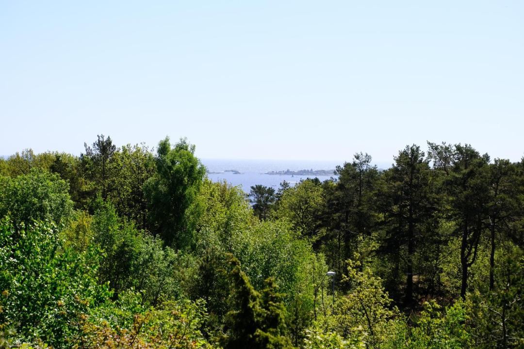 Photo of Others in Grimstad