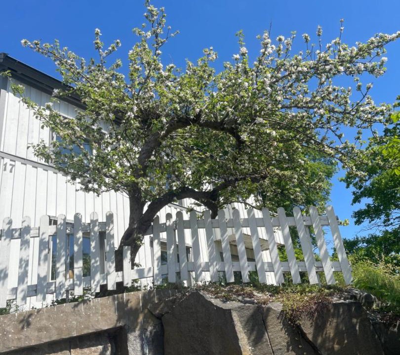 Photo of Others in Uddevalla