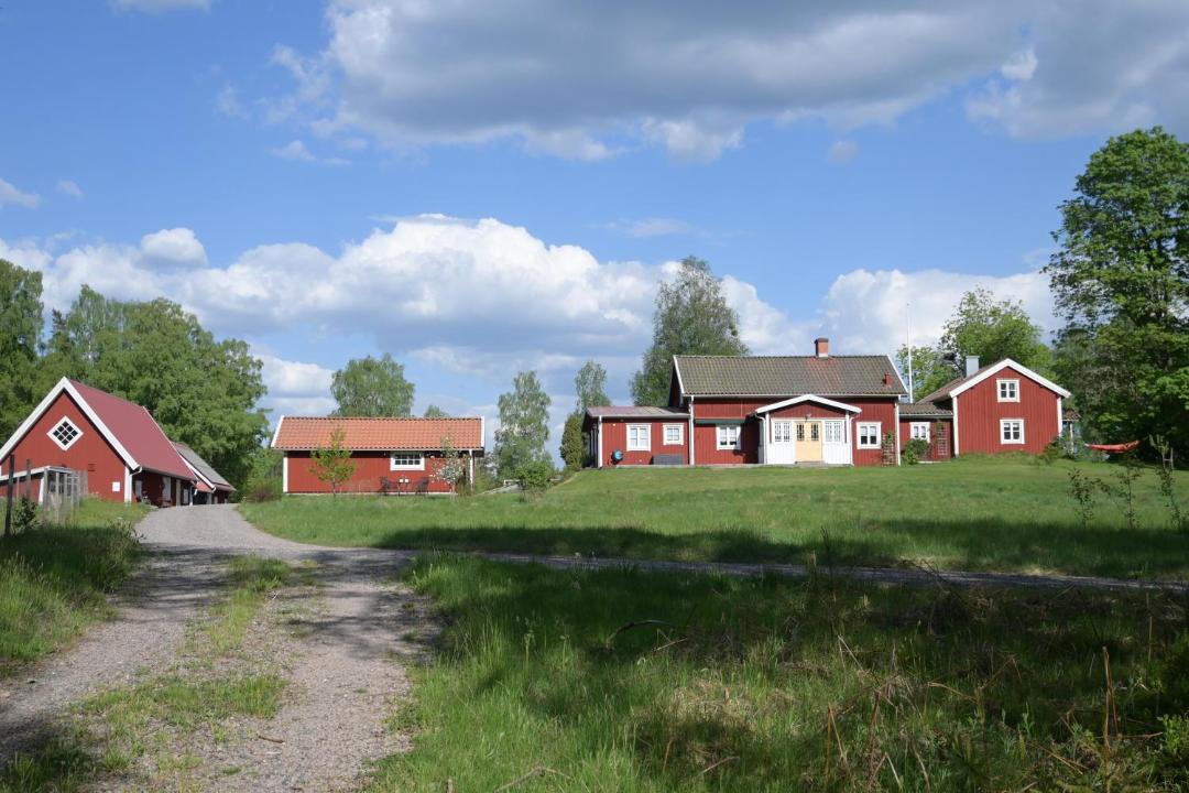 Photo of Others in Hok