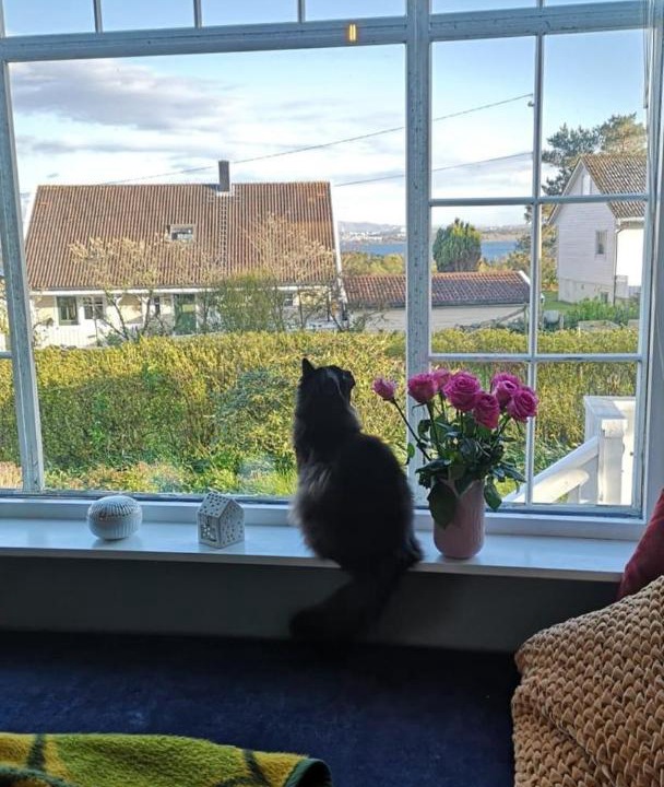 Photo of Others in Stavanger