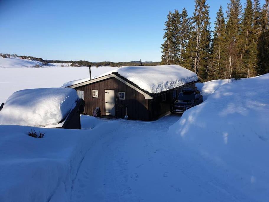 Photo of Others in Orkdal