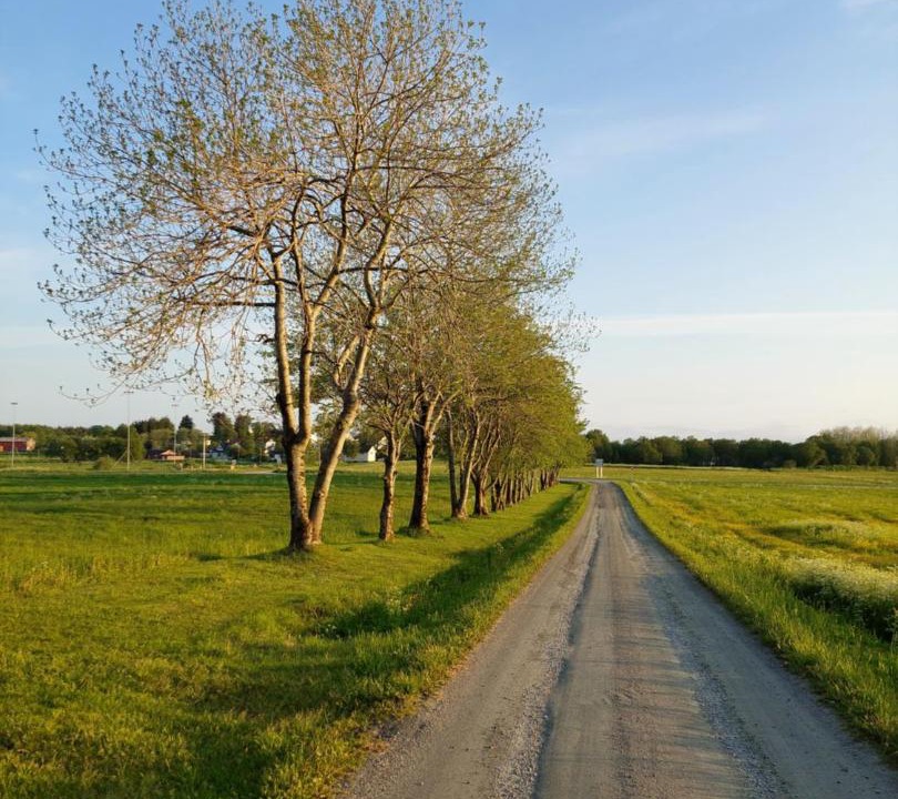 Photo of Others in Alstahaug