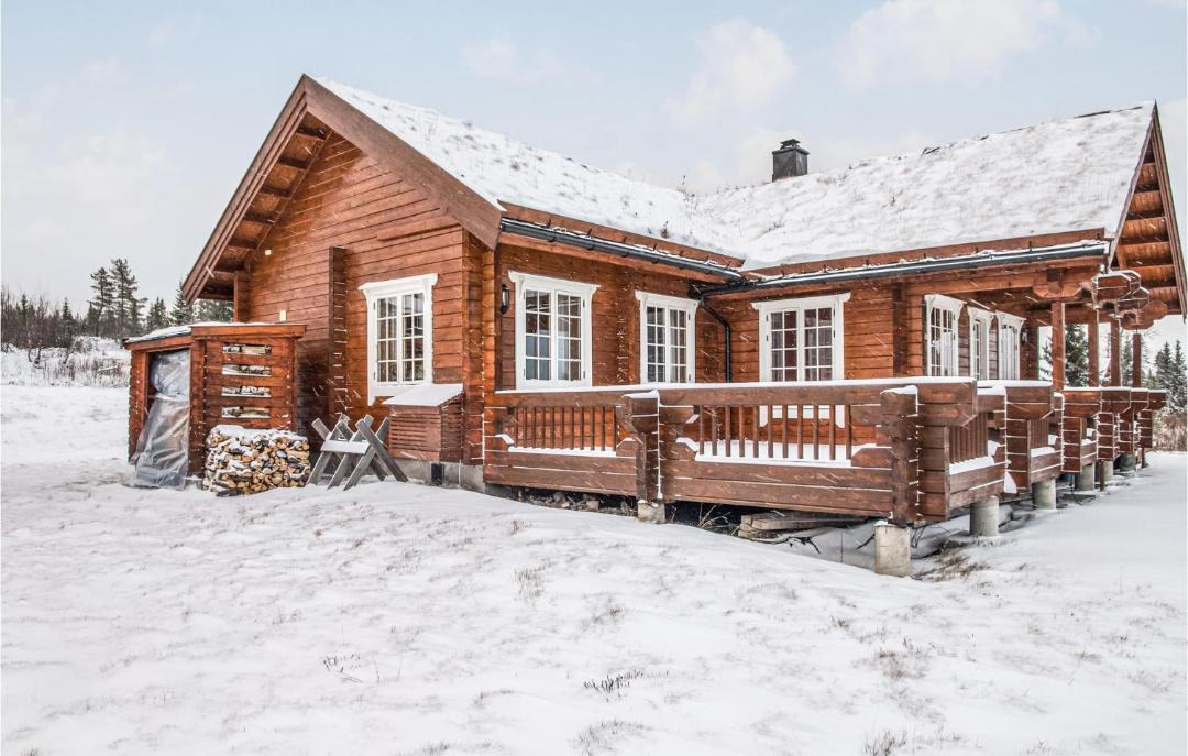 Photo of Others in Trysil