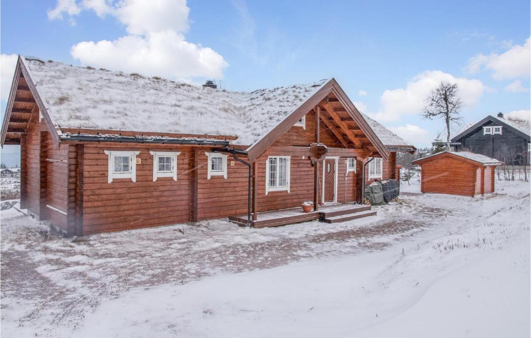 Photo of Others in Trysil