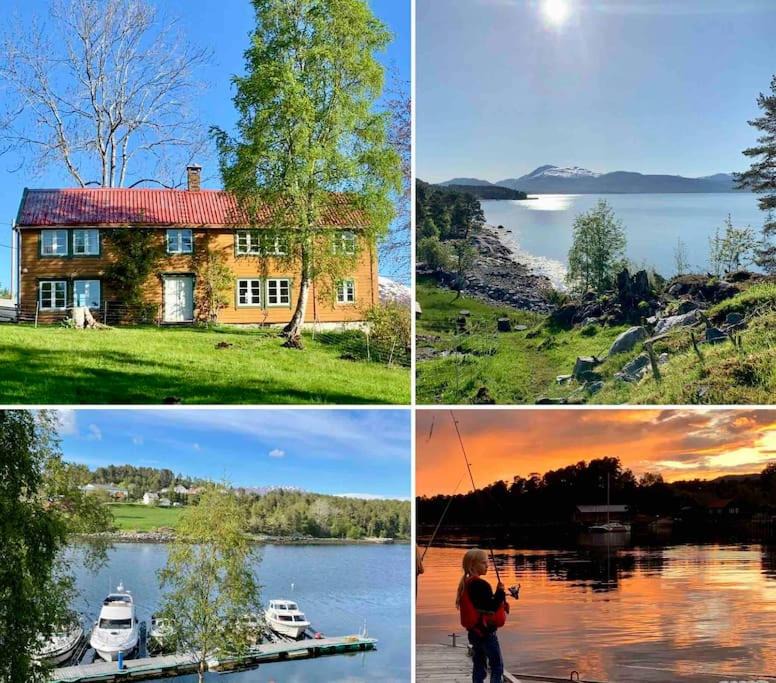 Photo of Others in Molde