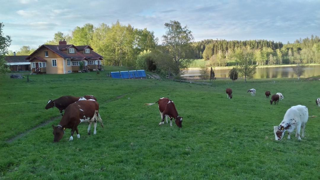 Photo of Others in Nykoping Municipality