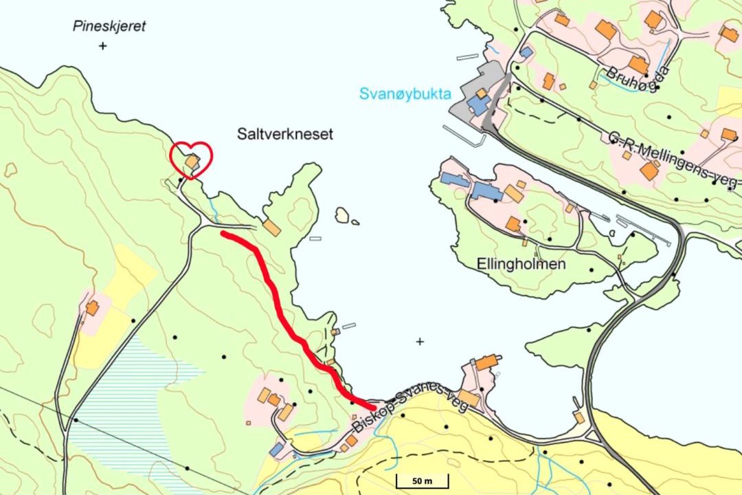 Photo of Others in Svanøybukt