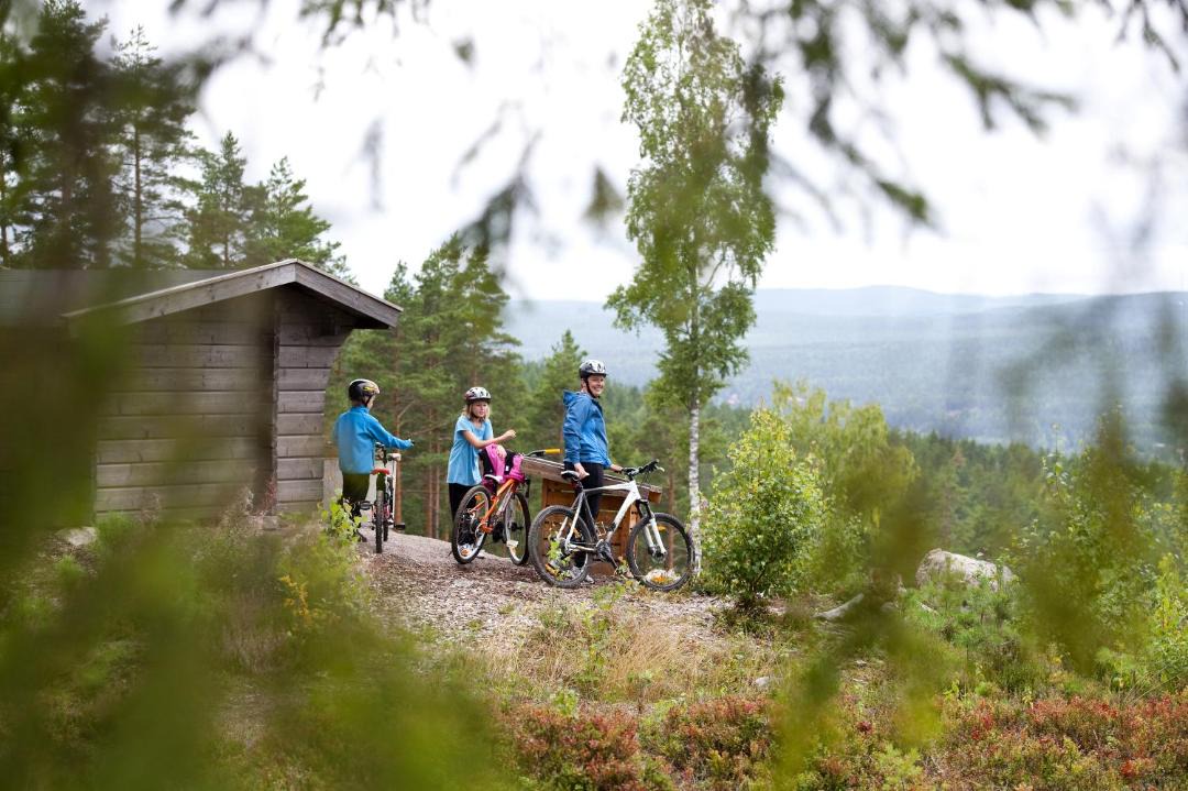 Photo of Others in Falun