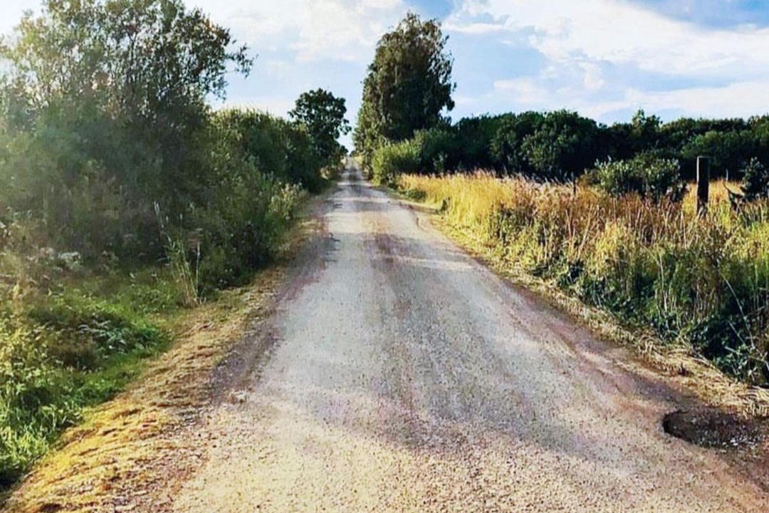 Photo of Others in Farjestaden
