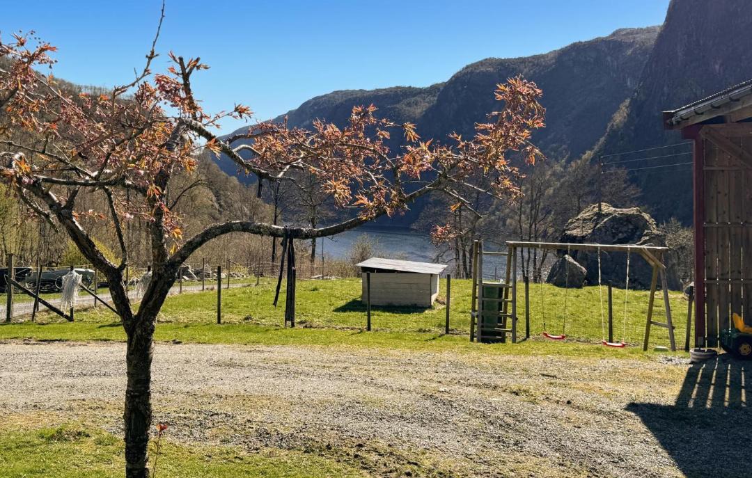 Photo of Others in Suldal