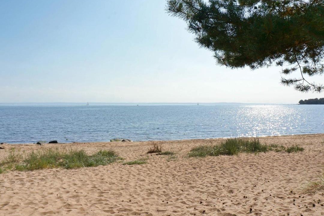 Photo of Others in Halmstad