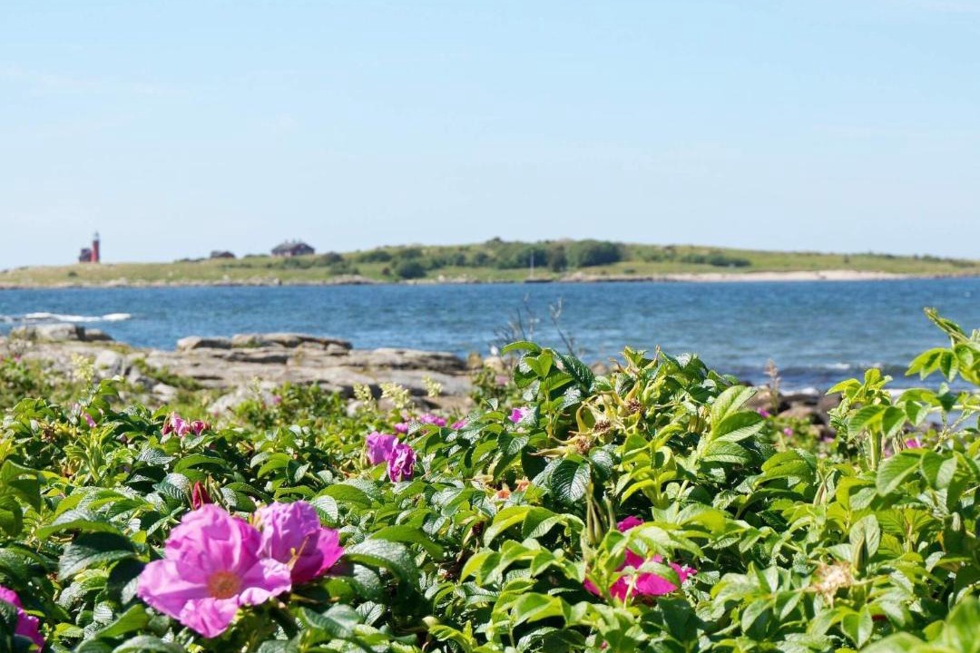 Photo of Others in Halmstad