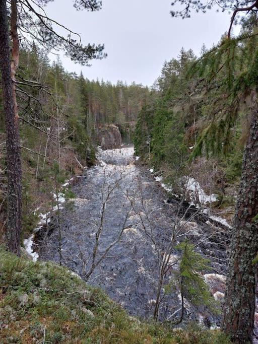 Photo of Others in Hagfors Municipality