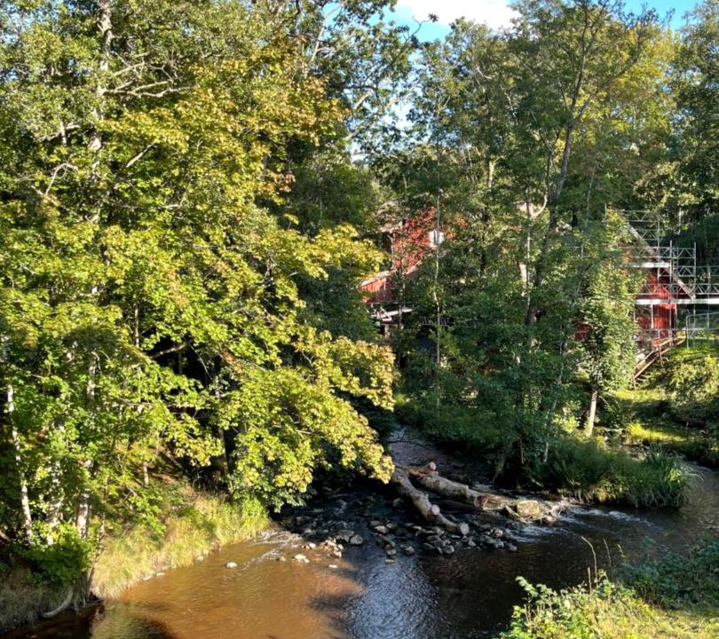 Photo of Others in Ljungskile