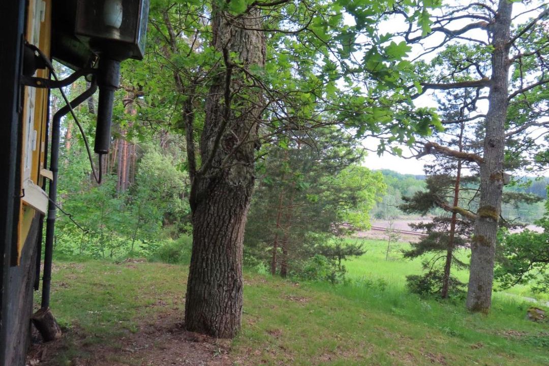 Photo of Others in Flen
