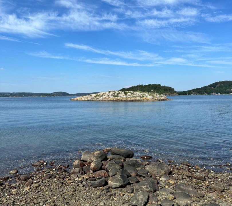 Photo of Others in Ljungskile
