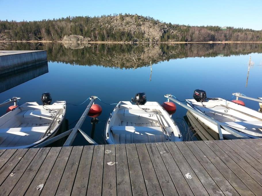 Photo of Others in Odkarby