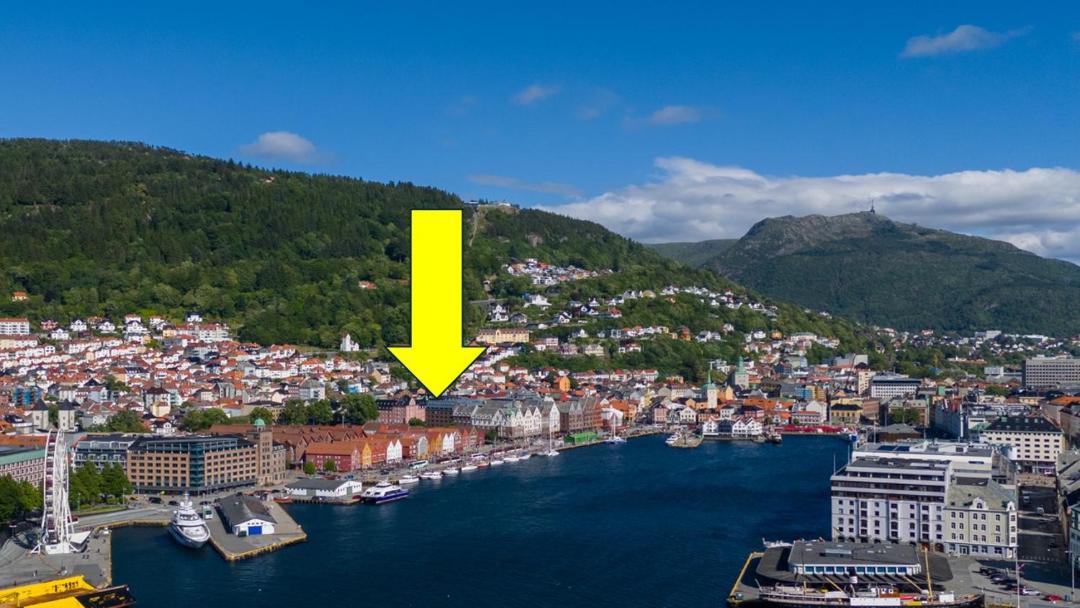 Photo of Others in Bergen City Centre