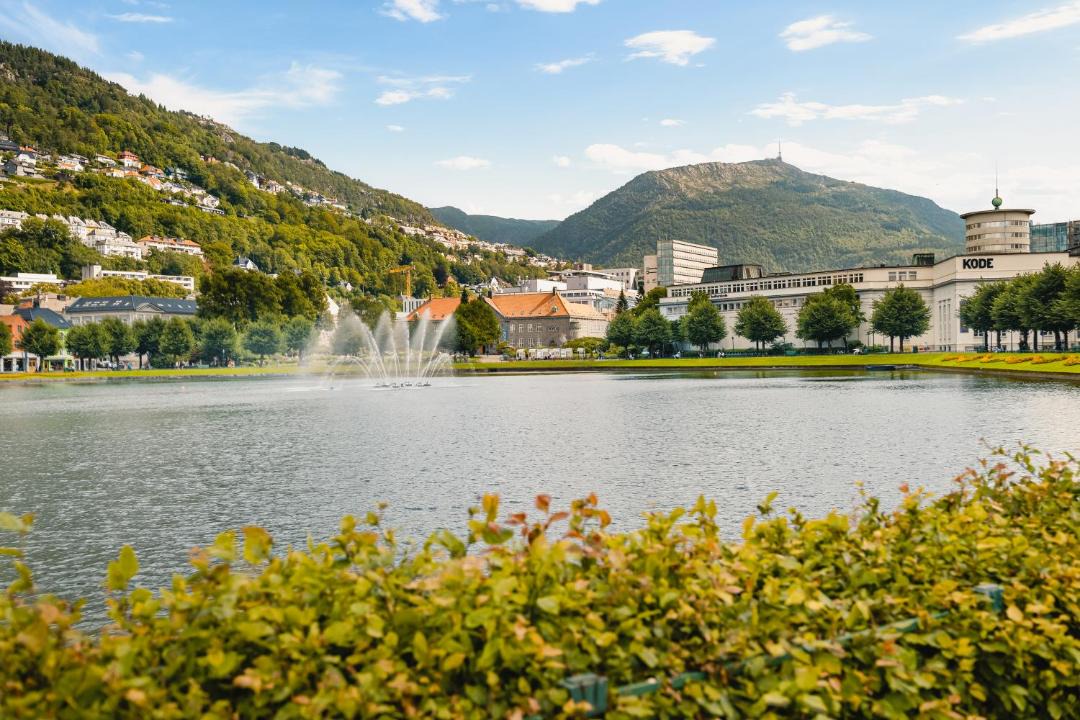 Photo of Others in Bergen City Centre