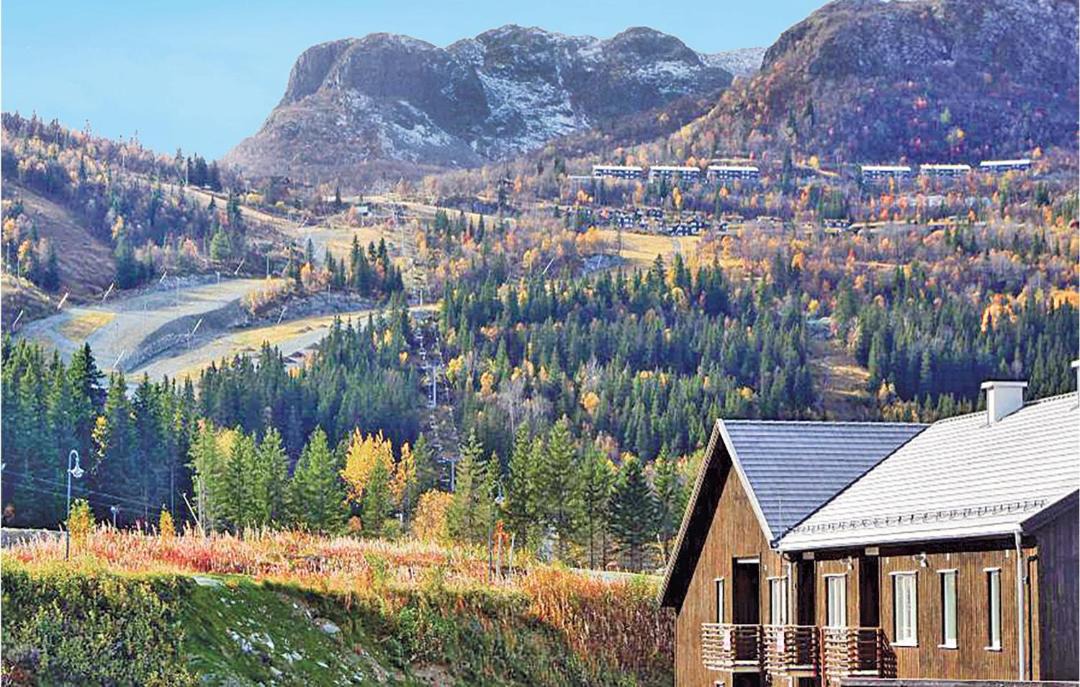 Photo of Others in Hemsedal