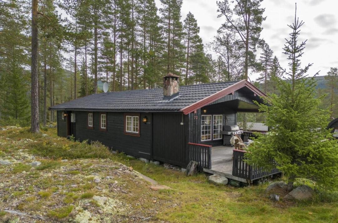 Photo of Others in Trysil