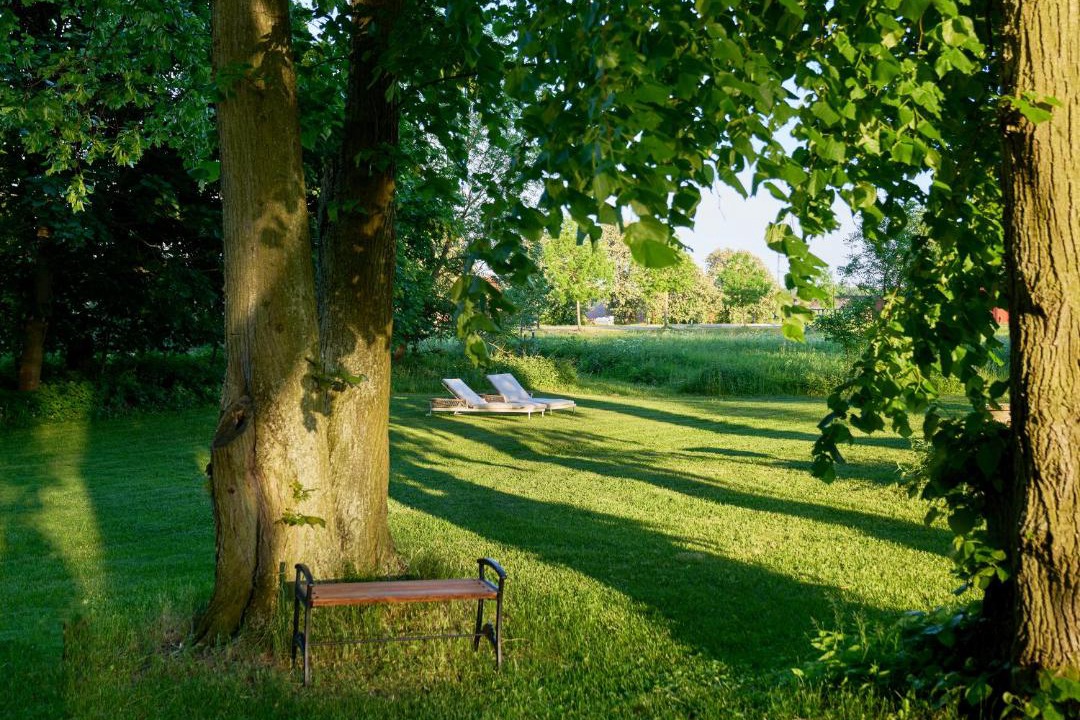 Photo of Others in Vadstena