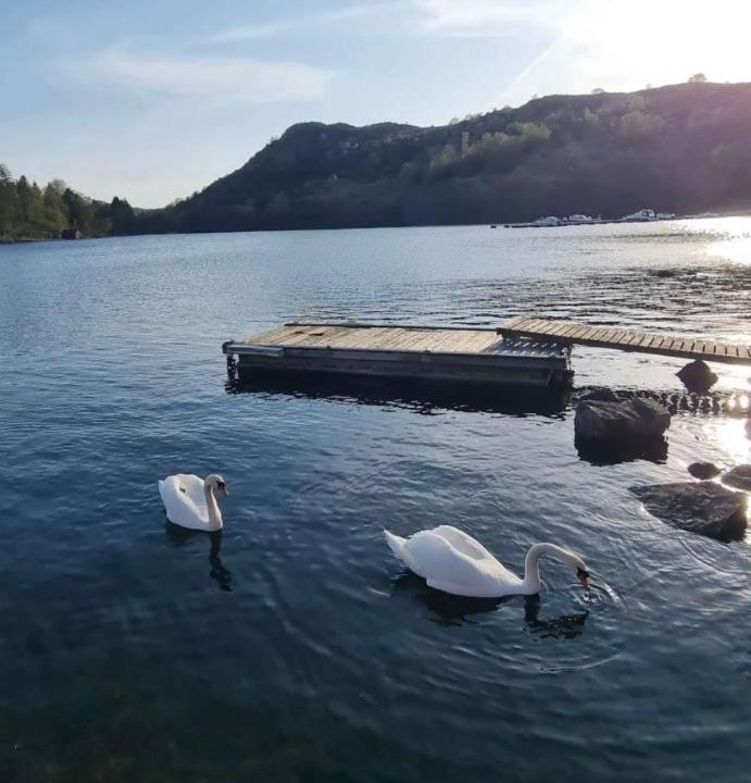 Photo of Others in Egersund