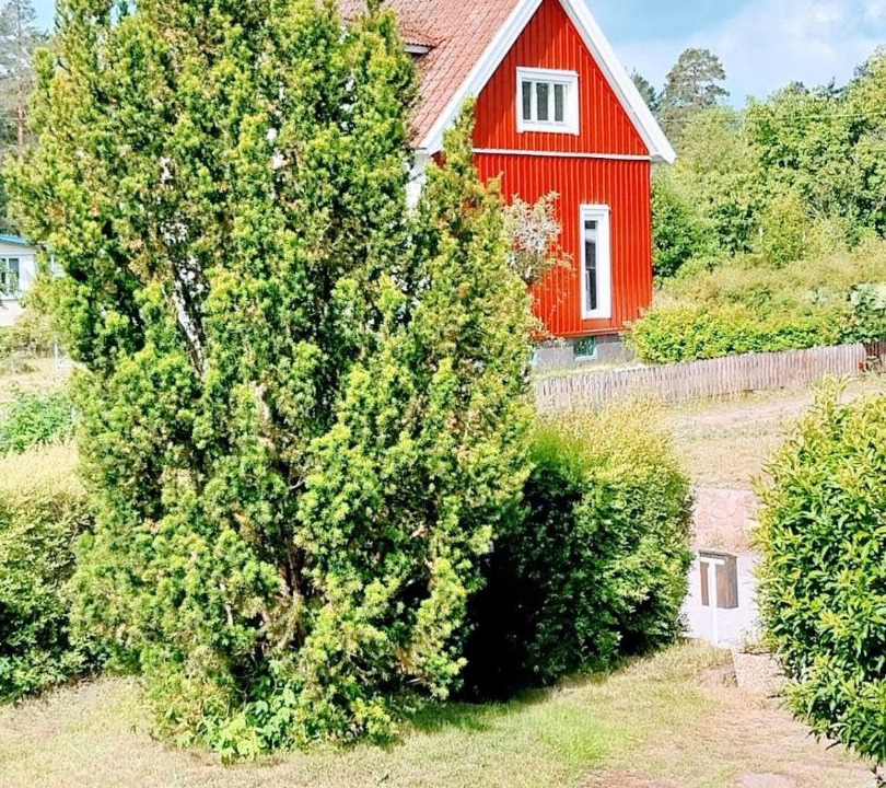Photo of Others in Silverdalen