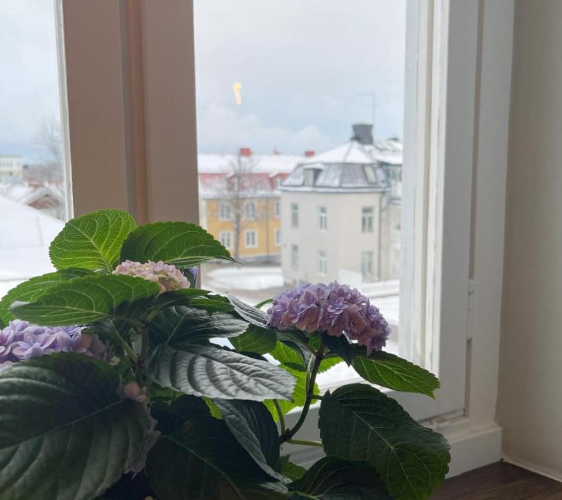 Photo of Others in Hudiksvall