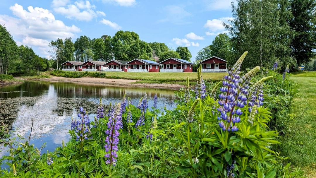 Photo of Others in Dalskog