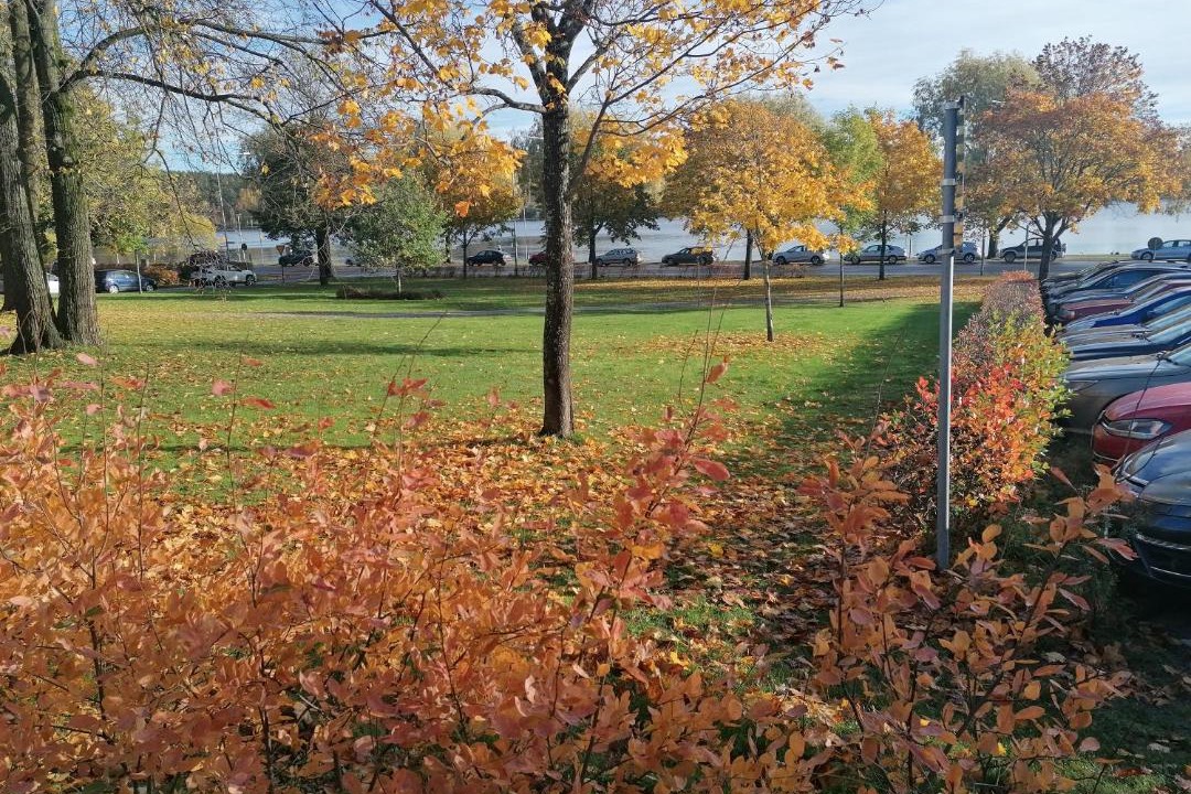 Photo of Others in Hudiksvall