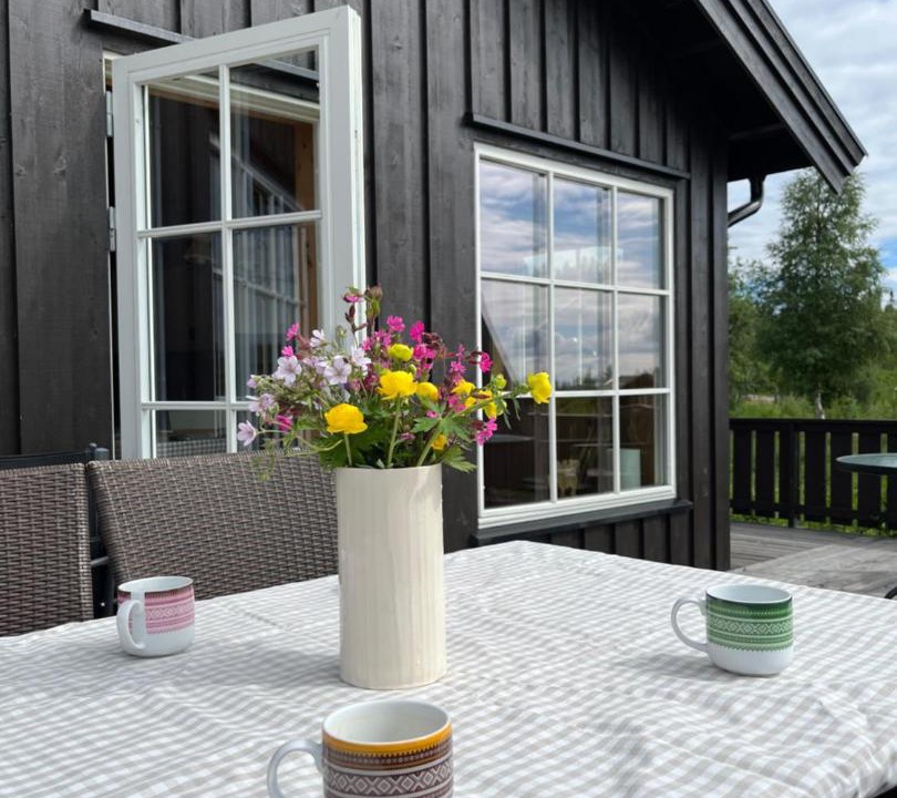 Photo of Others in Trysil