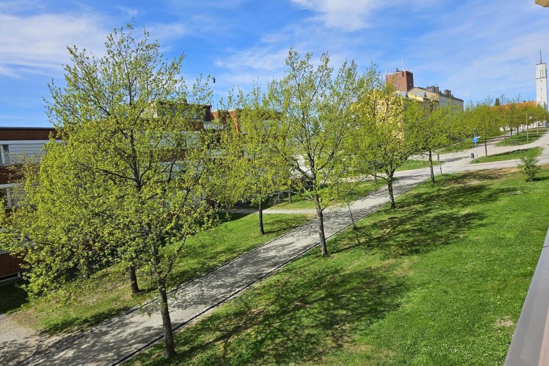 Photo of Others in Iisalmi