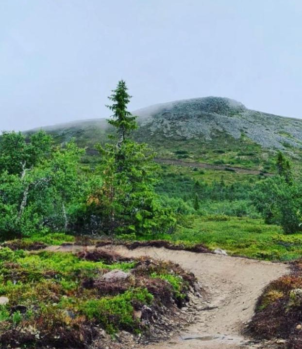 Photo of Others in Lofsdalen