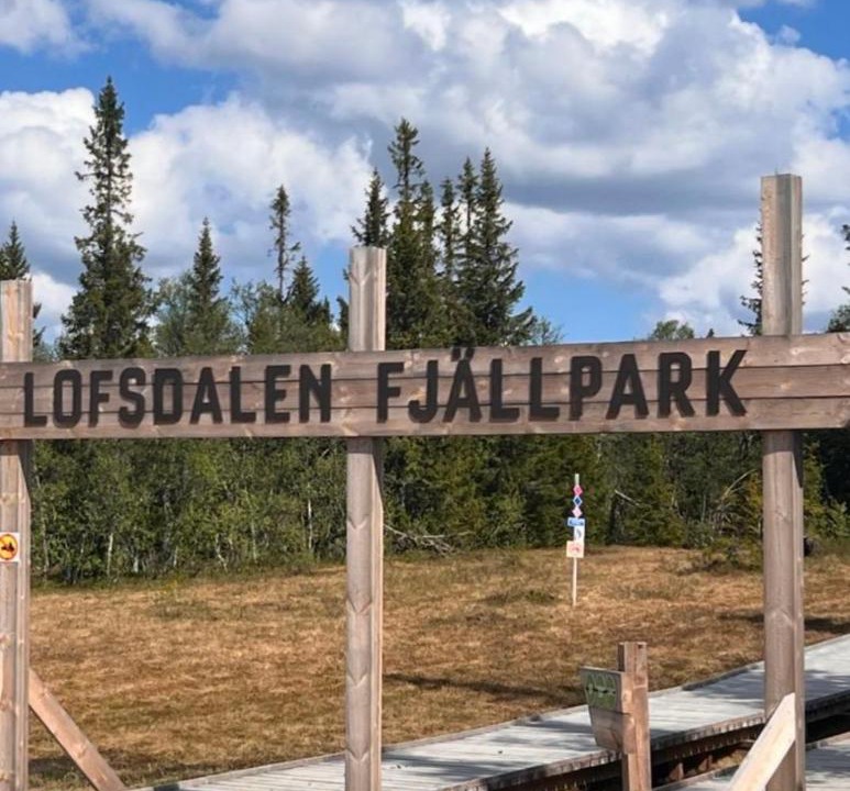 Photo of Others in Lofsdalen