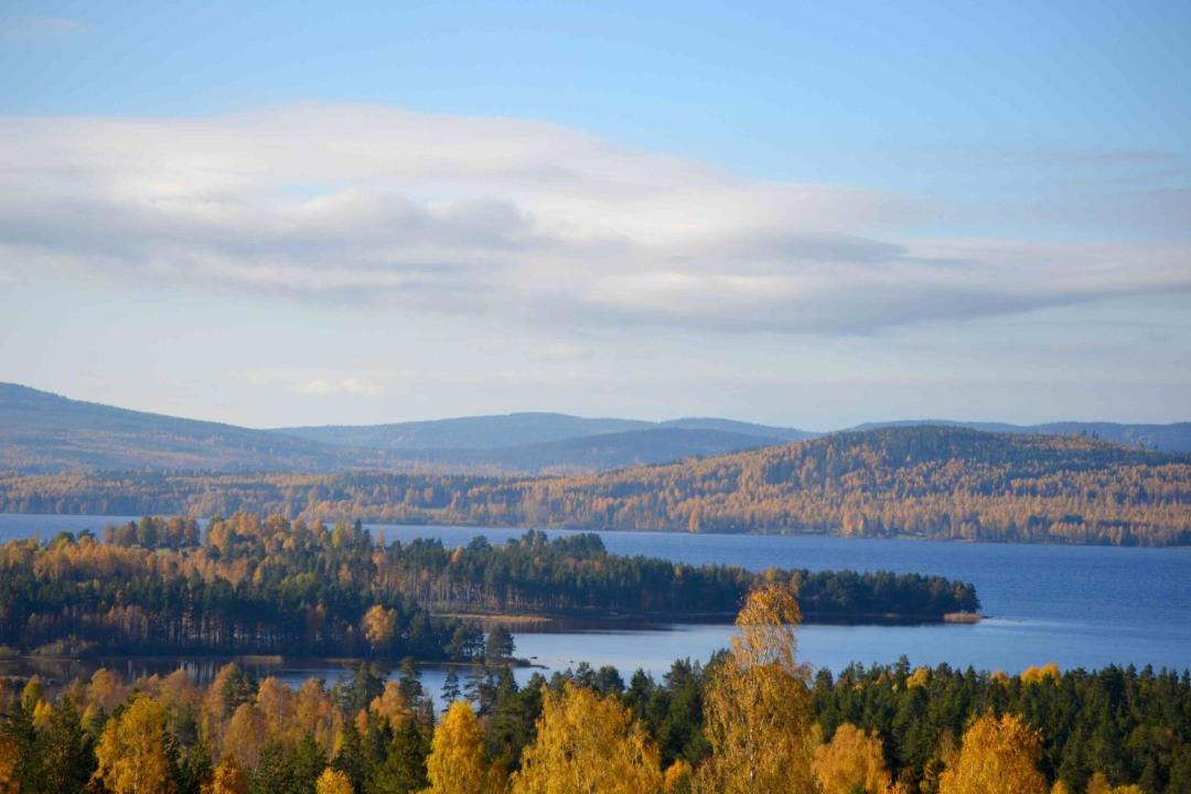 Photo of Others in Tallberg