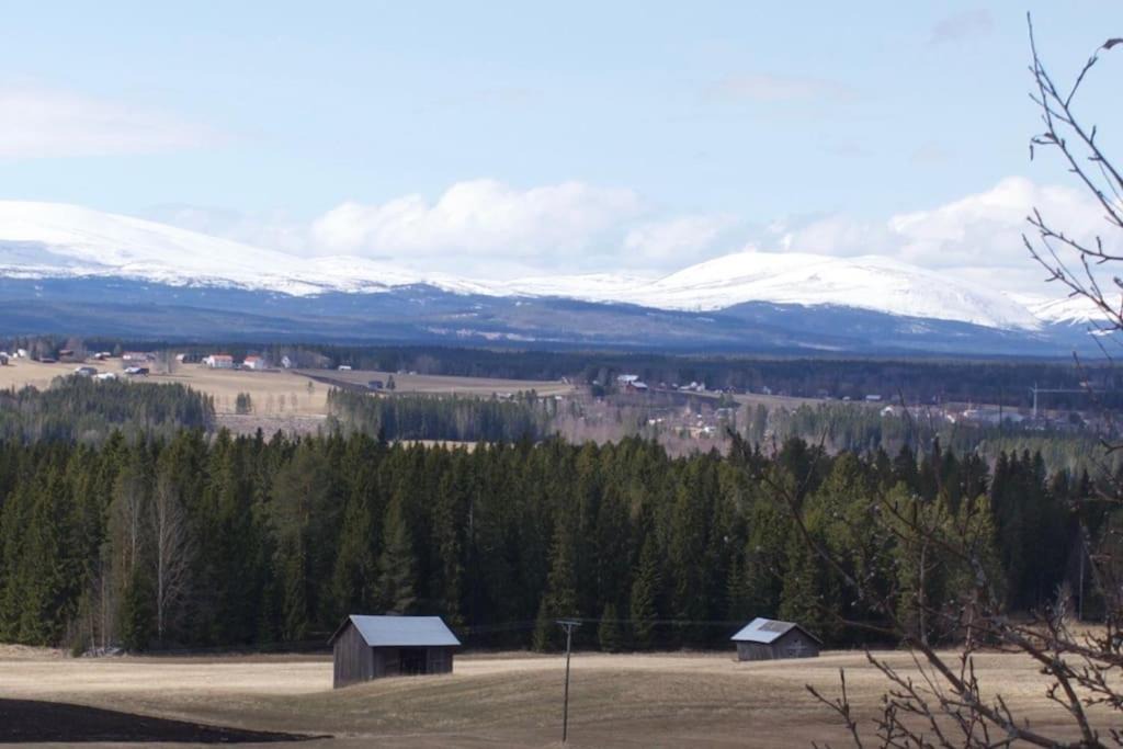 Photo of Others in Oviken