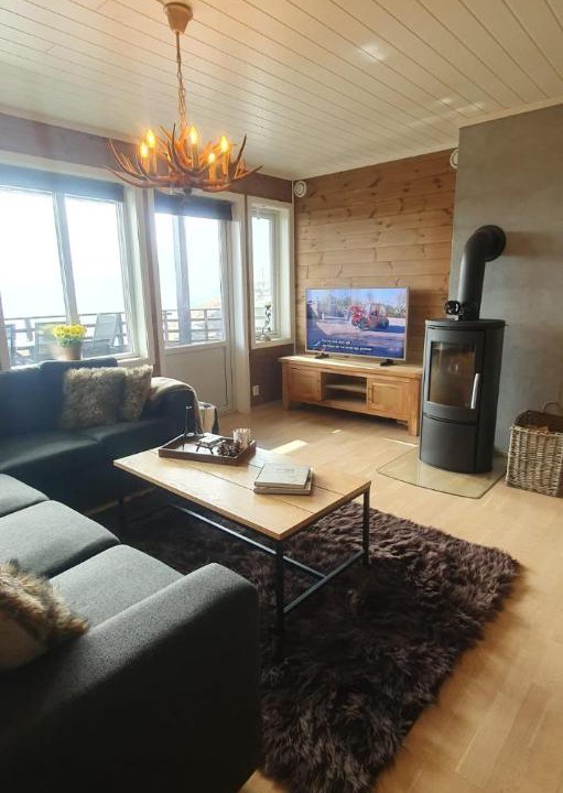 Photo of Livingroom in Skulestad