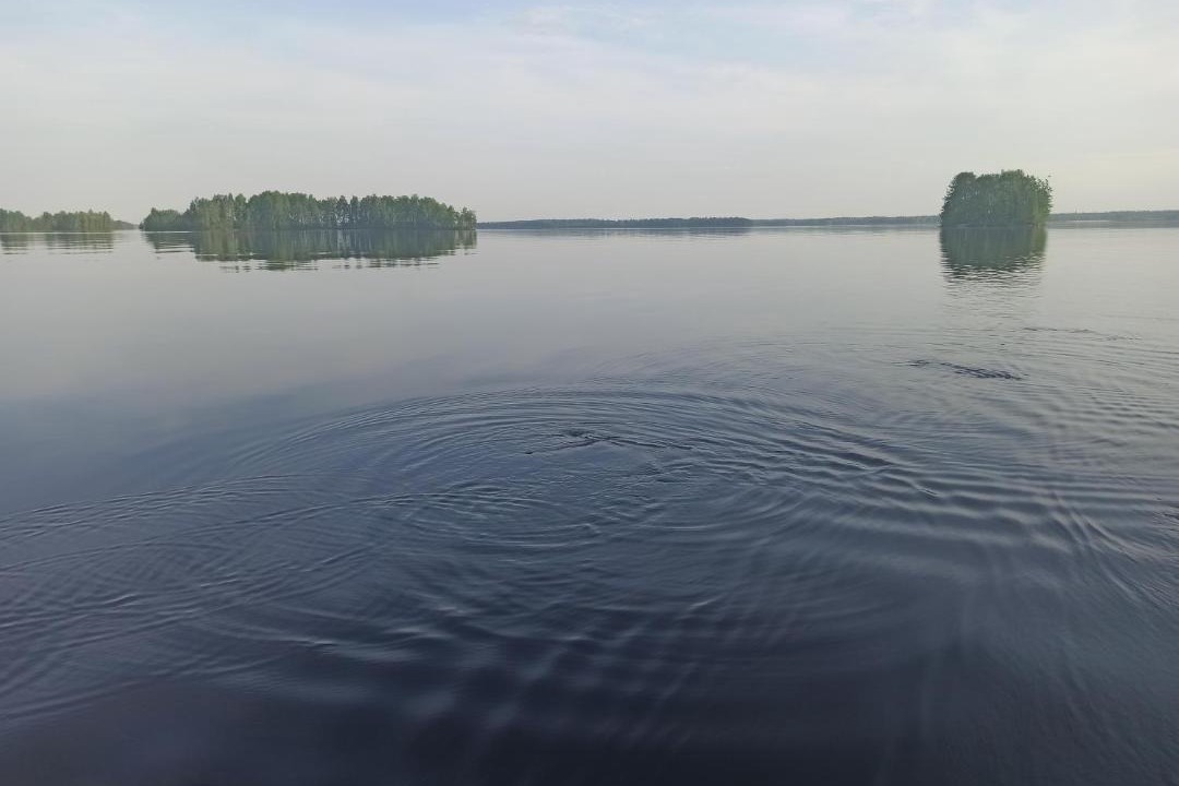 Photo of Others in Koli National Park