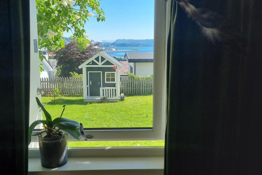 Photo of Others in Alesund