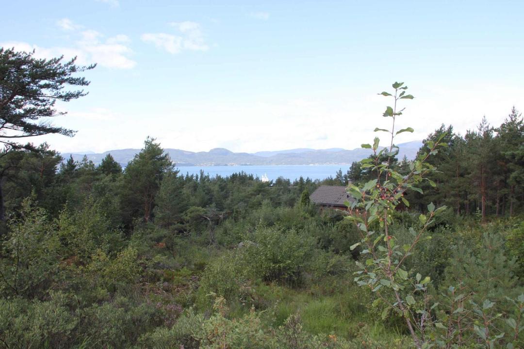 Photo of Others in Lyngstranda