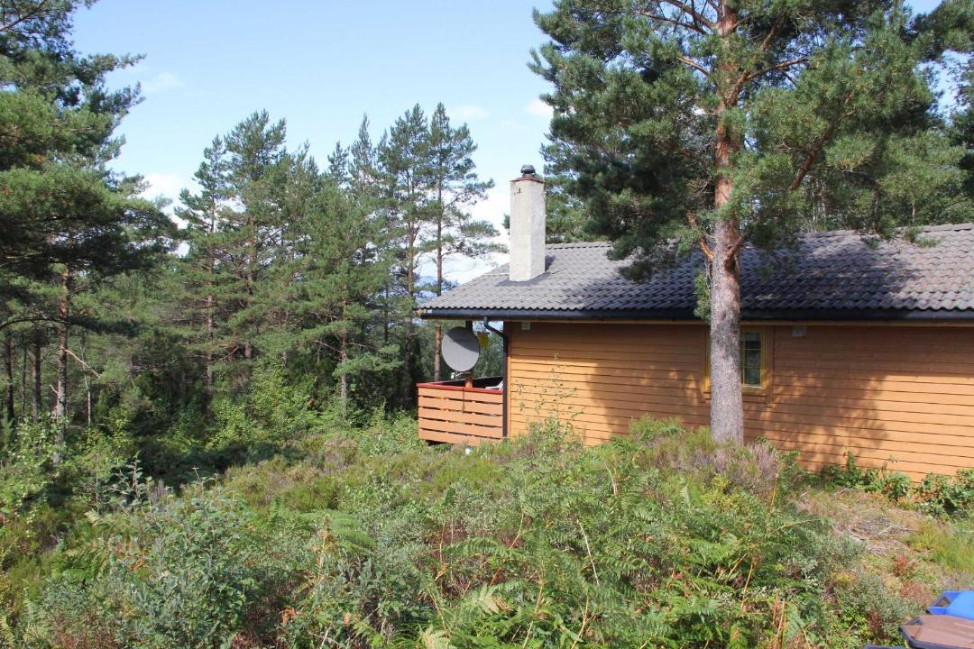 Photo of Others in Lyngstranda