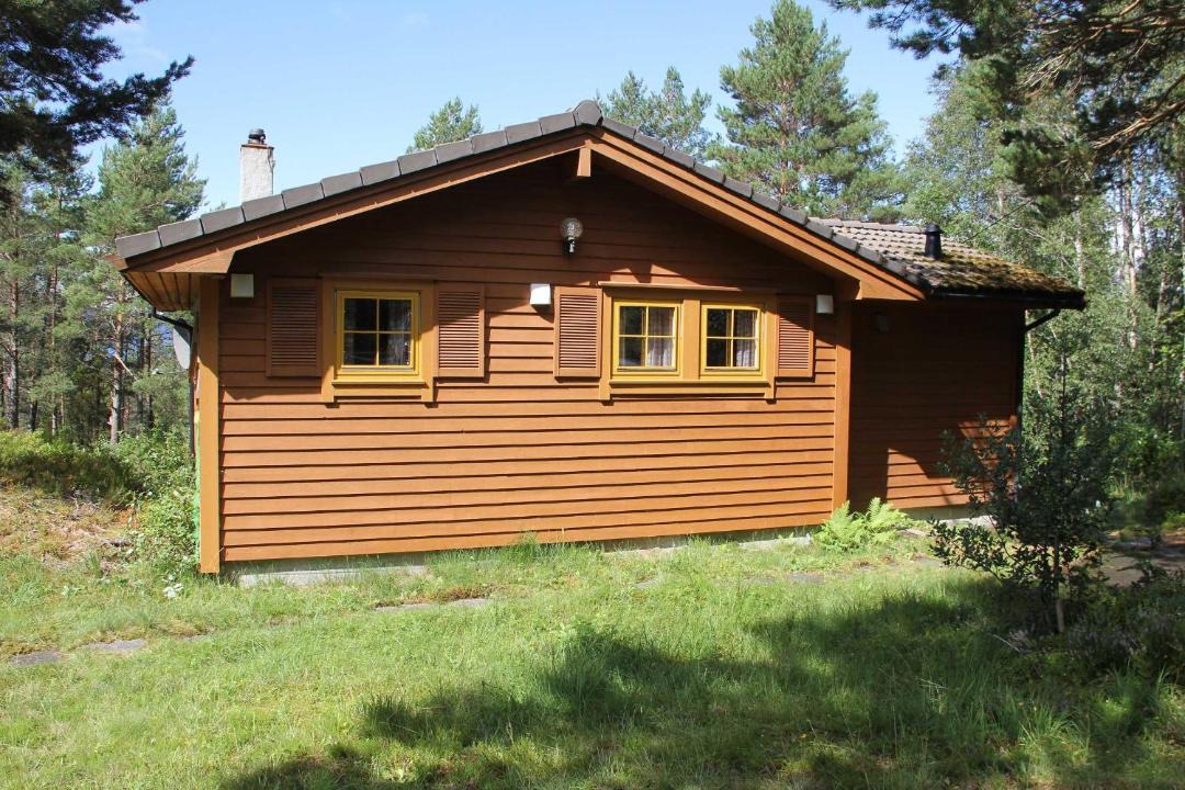 Photo of Others in Lyngstranda