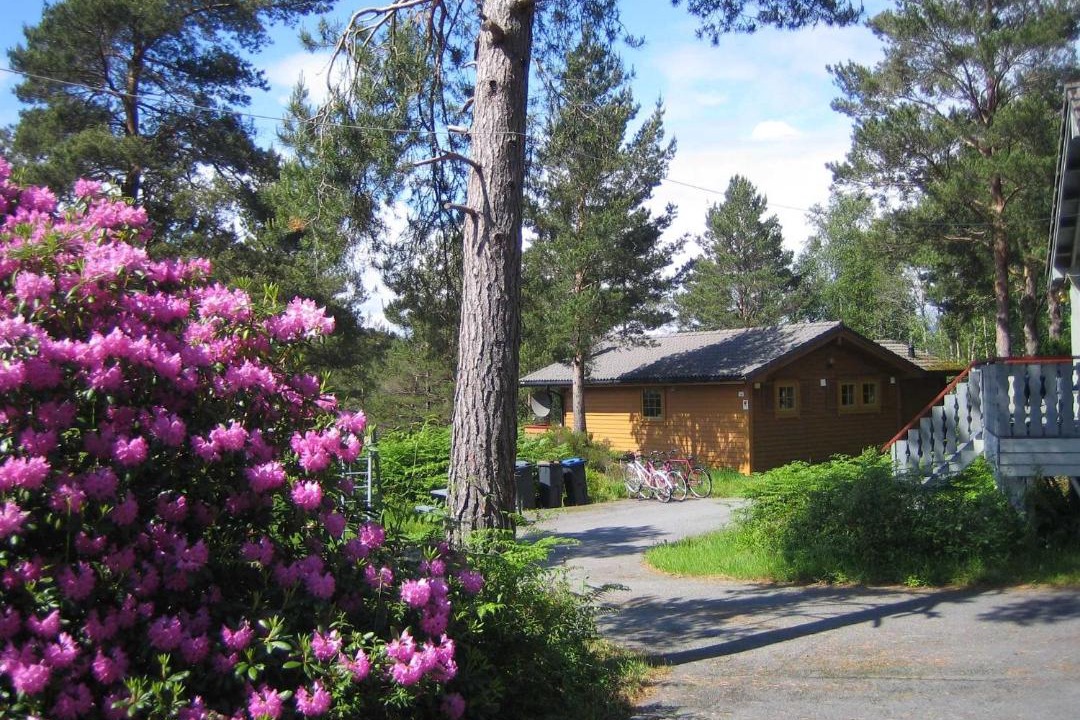 Photo of Others in Lyngstranda