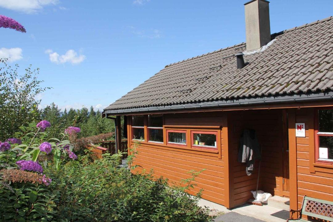 Photo of Others in Lyngstranda
