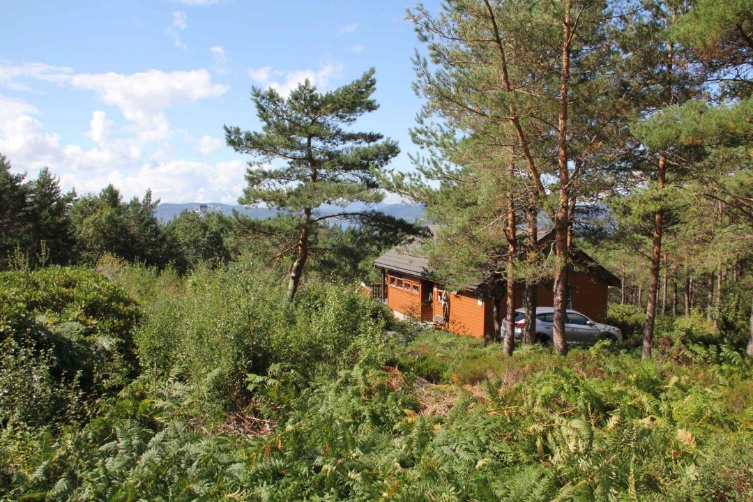 Photo of Others in Lyngstranda