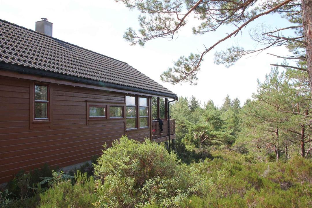Photo of Others in Lyngstranda