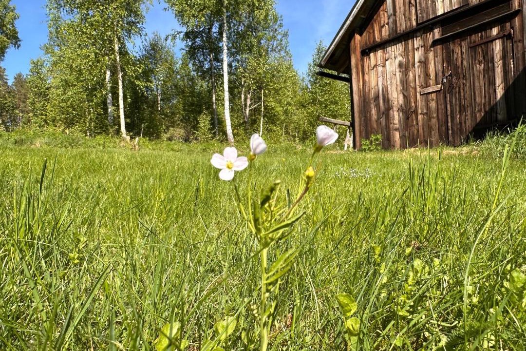 Photo of Others in Arvika